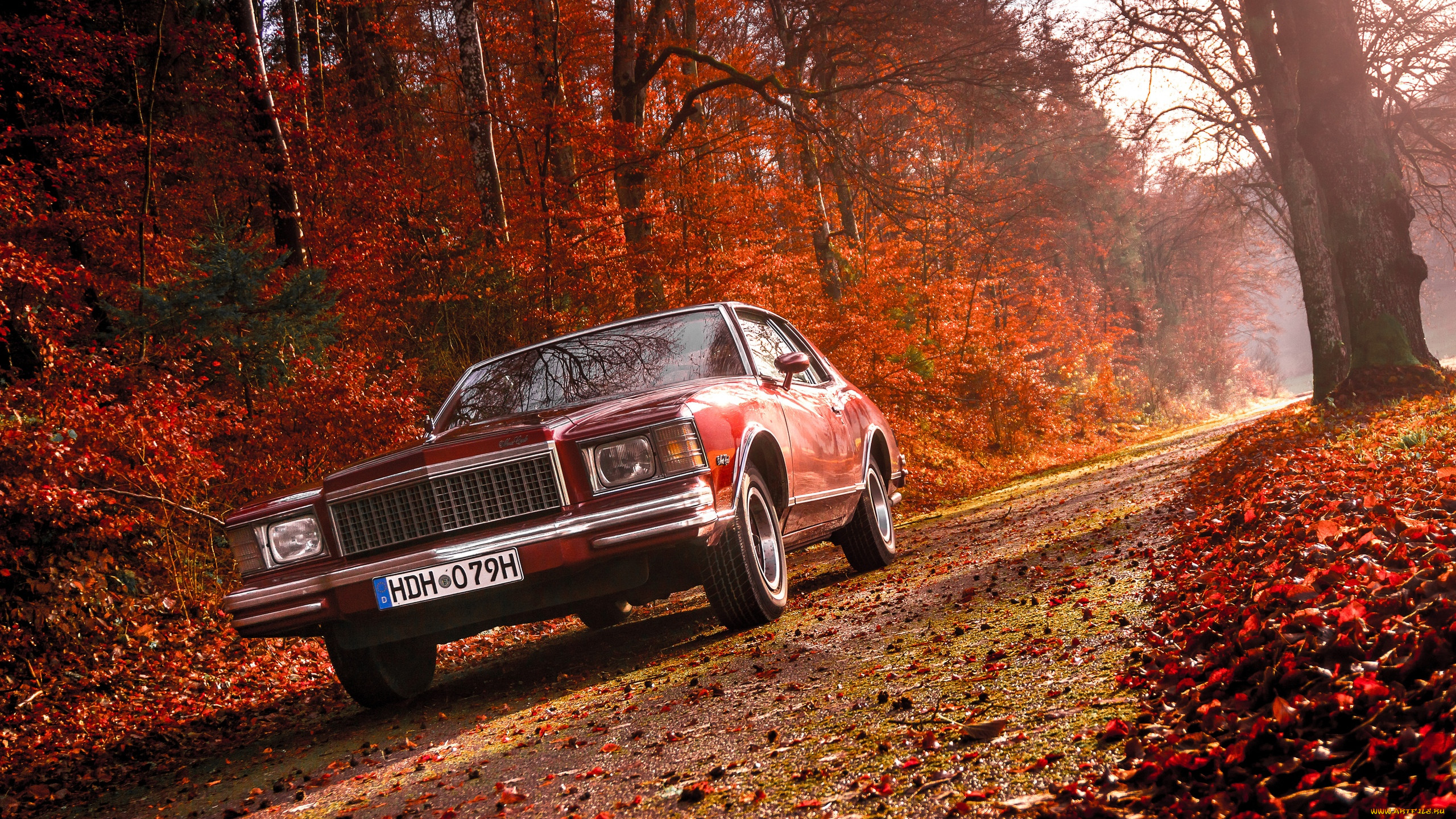 , chevrolet, 1979, monte, carlo